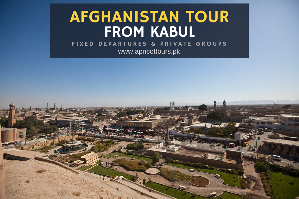 afghanistan tour from kabul