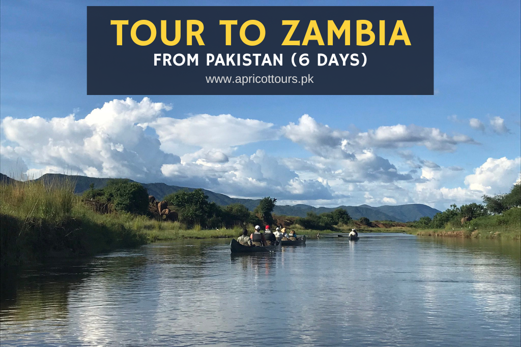 Tour to Zambia from Pakistan (6 Days)