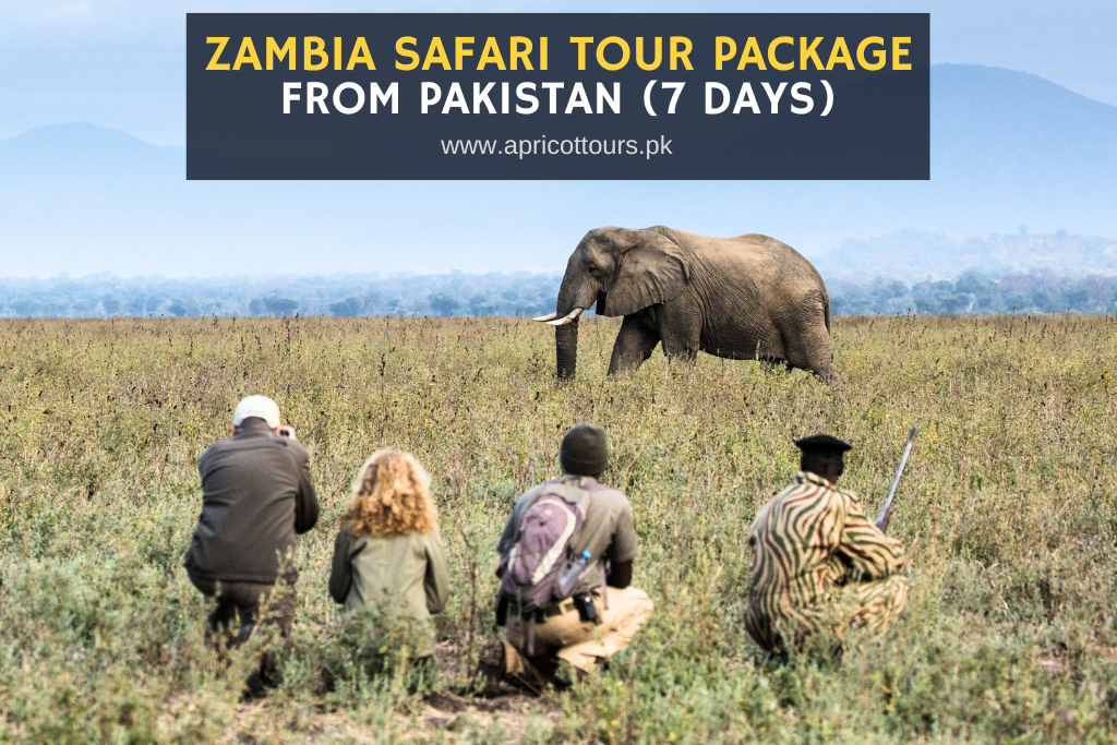 Zambia Safari Tour Package from Pakistan (7 Days)