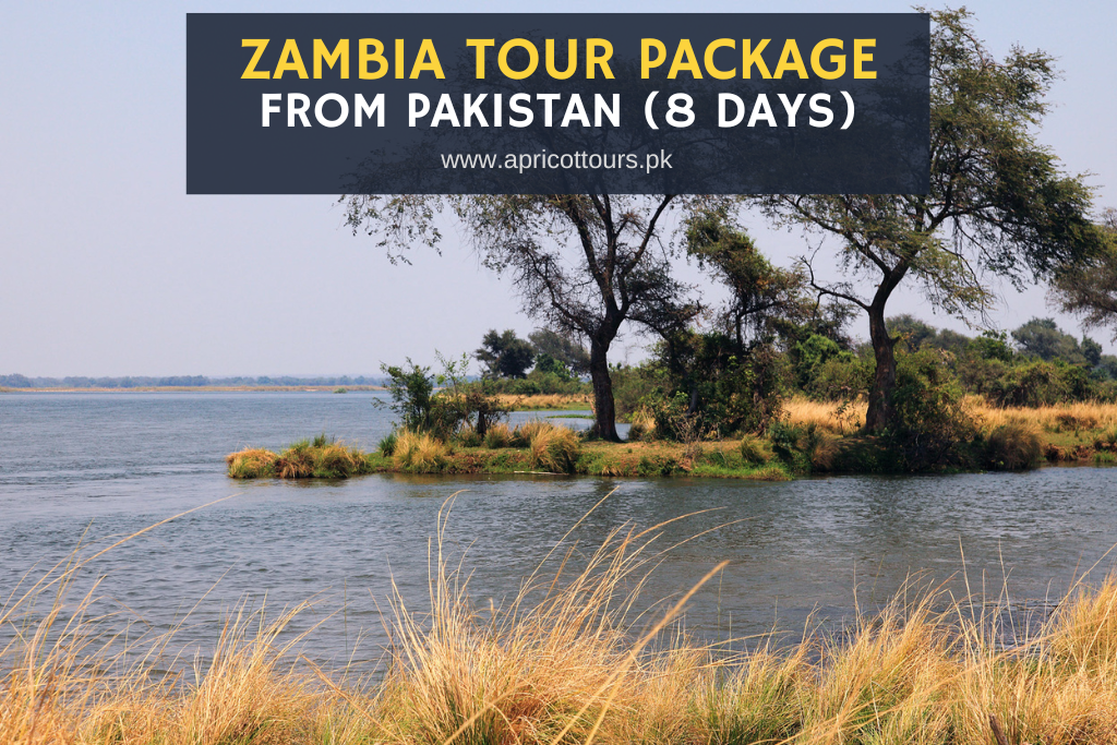 zambia tour package from pakistan