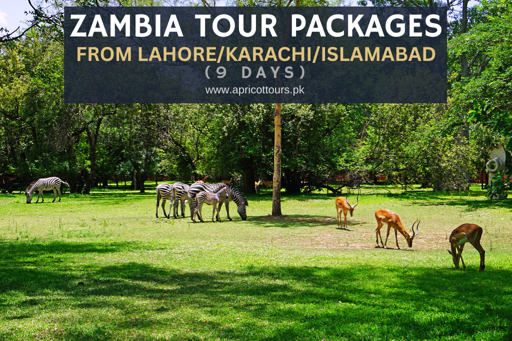 Zambia Tour Packages from Lahore/Karachi/Islamabad (9 Days)