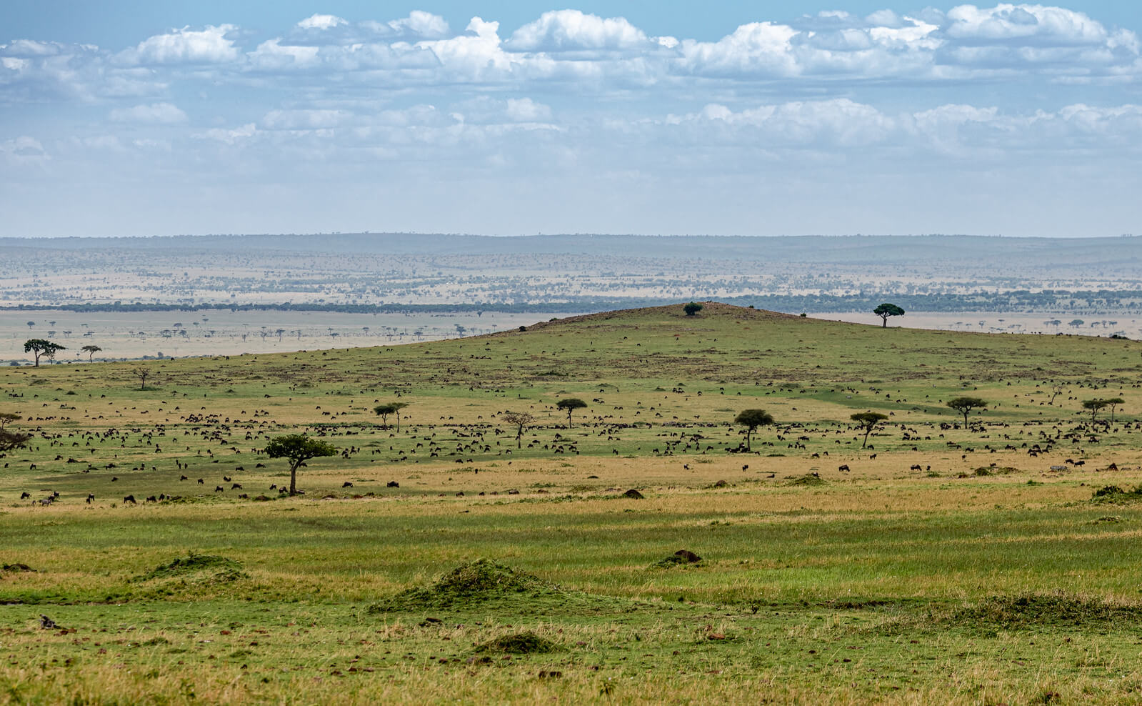 kenya maasai mara safari tour package from pakistan