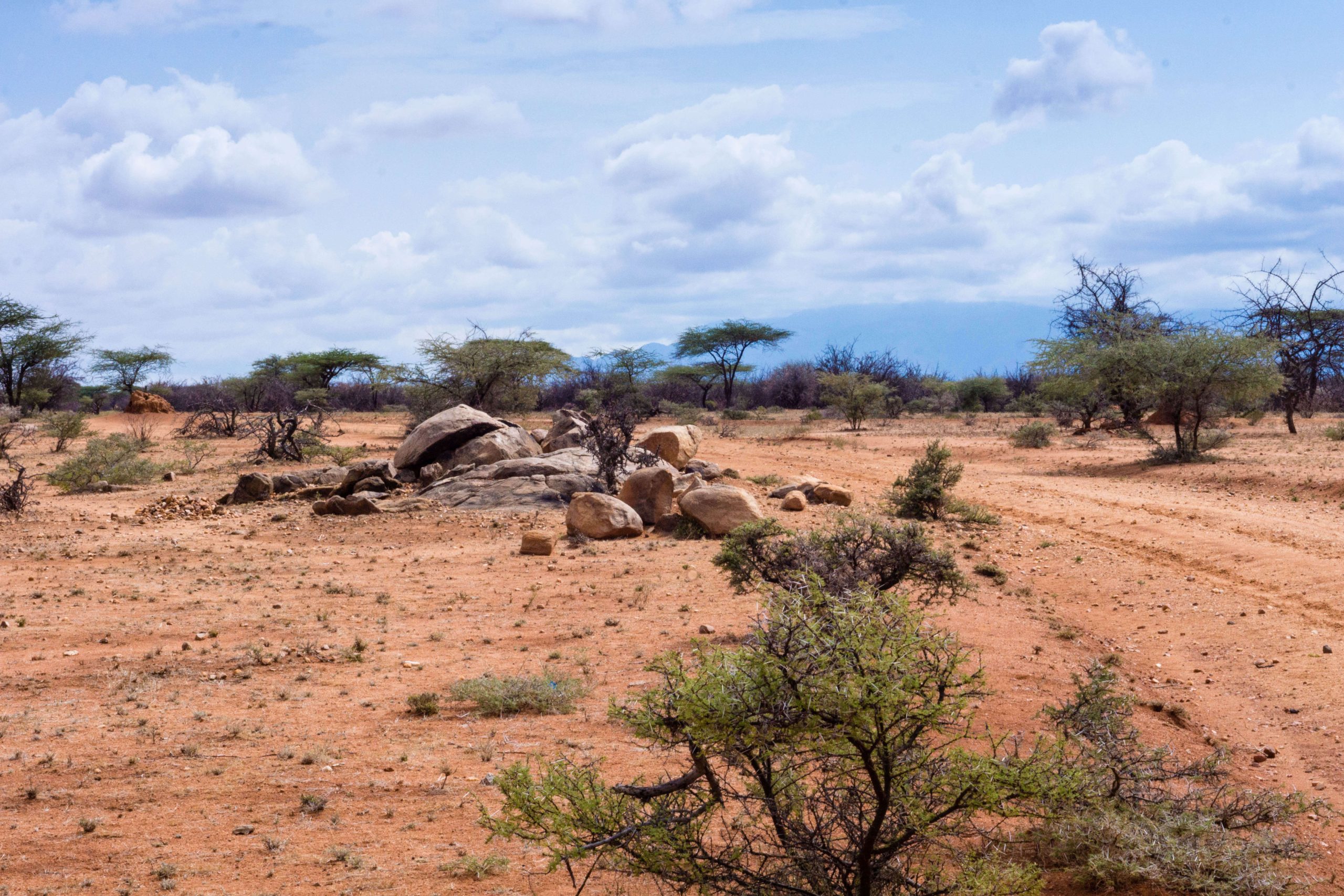 kenya safari tour package from pakistan