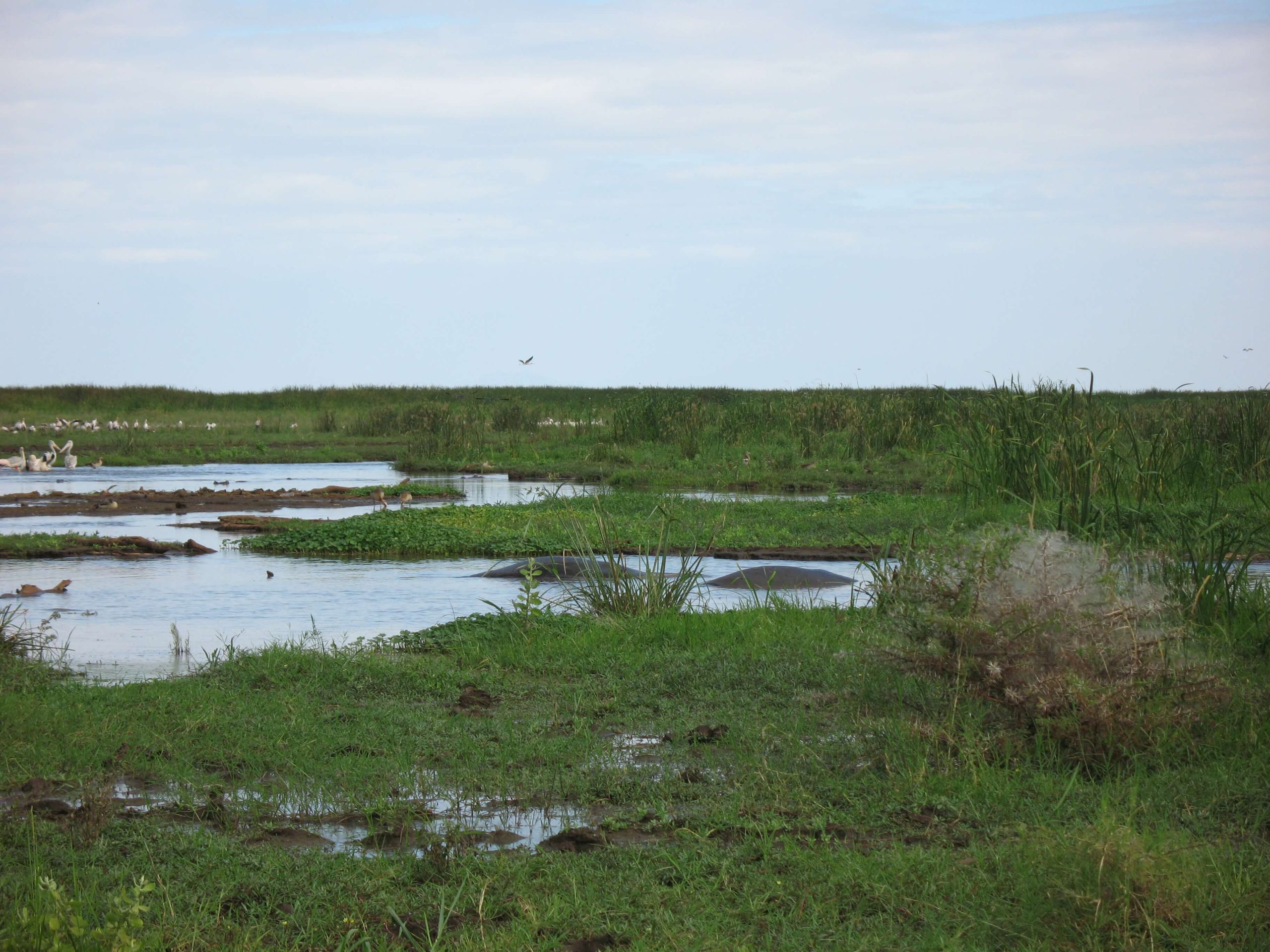 tanzania tour package from pakistan