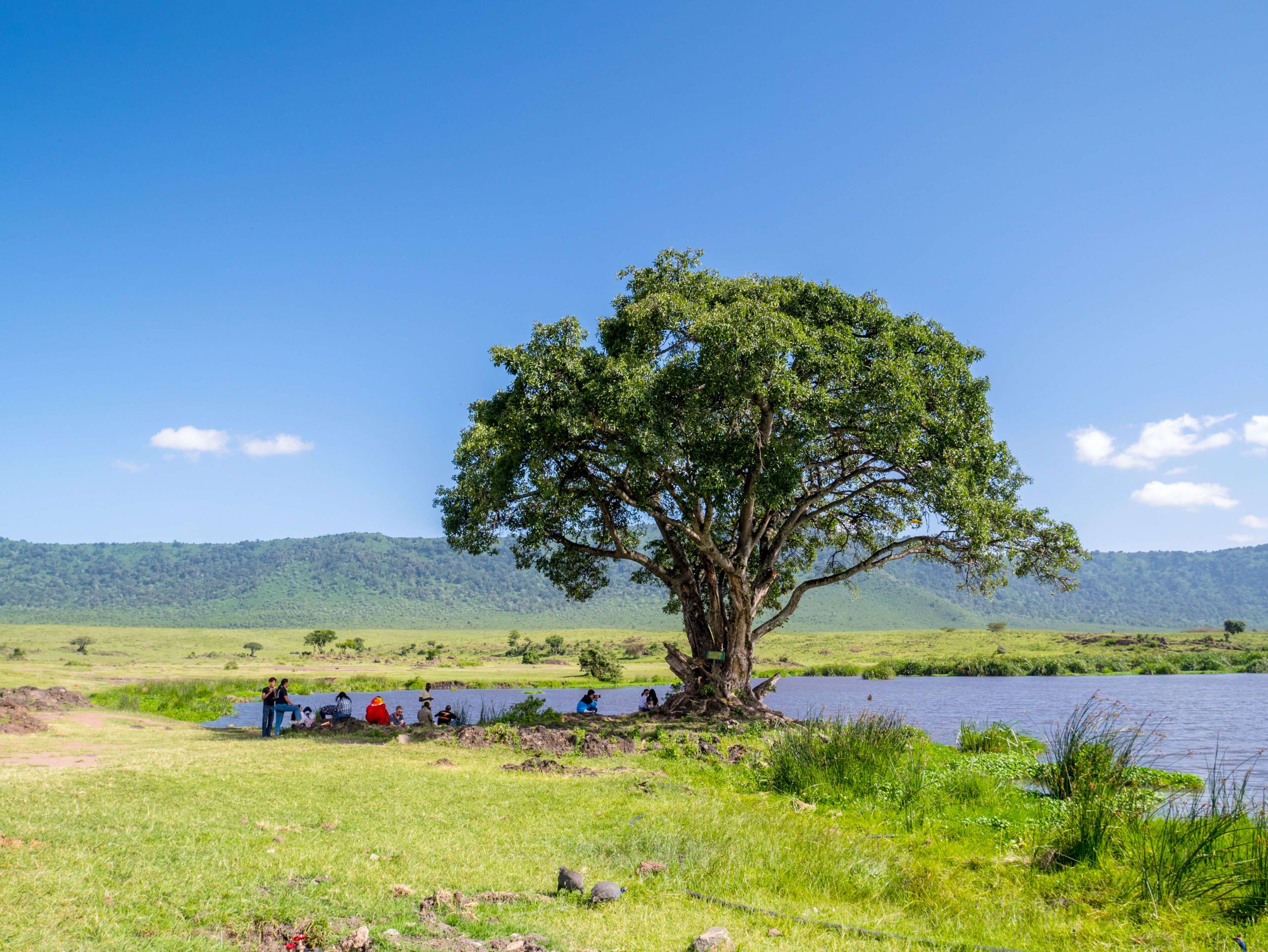 tour to tanzania from pakistan