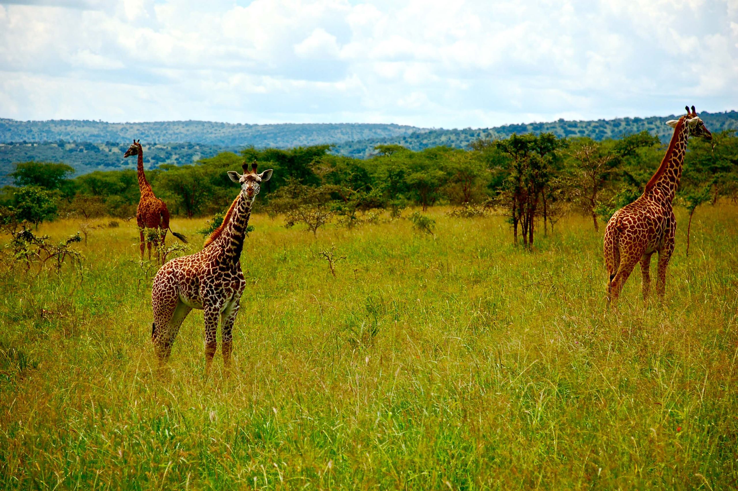 rwanda tour packages from lahore/karachi/islamabad