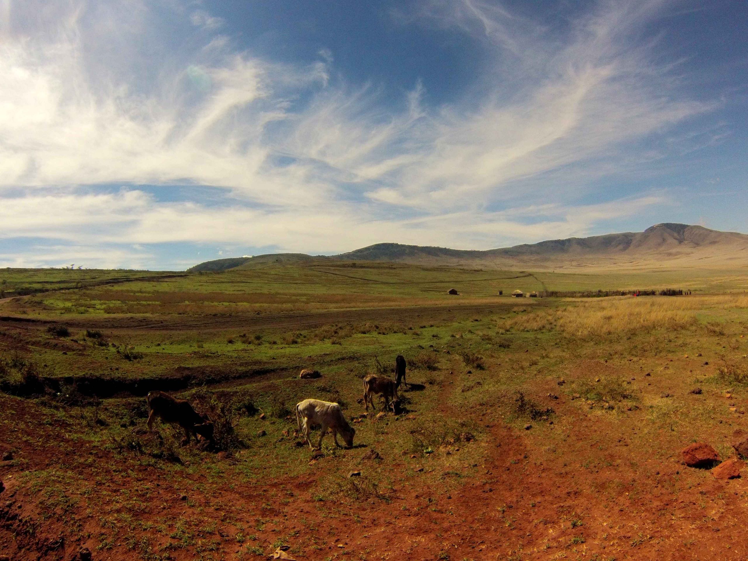 tanzania tour packages from lahore/karachi/islamabad