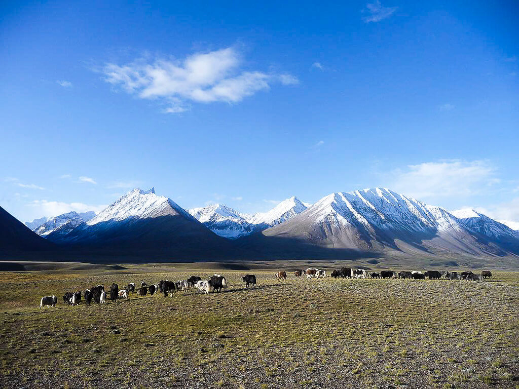 chaqmaqtin lake trek