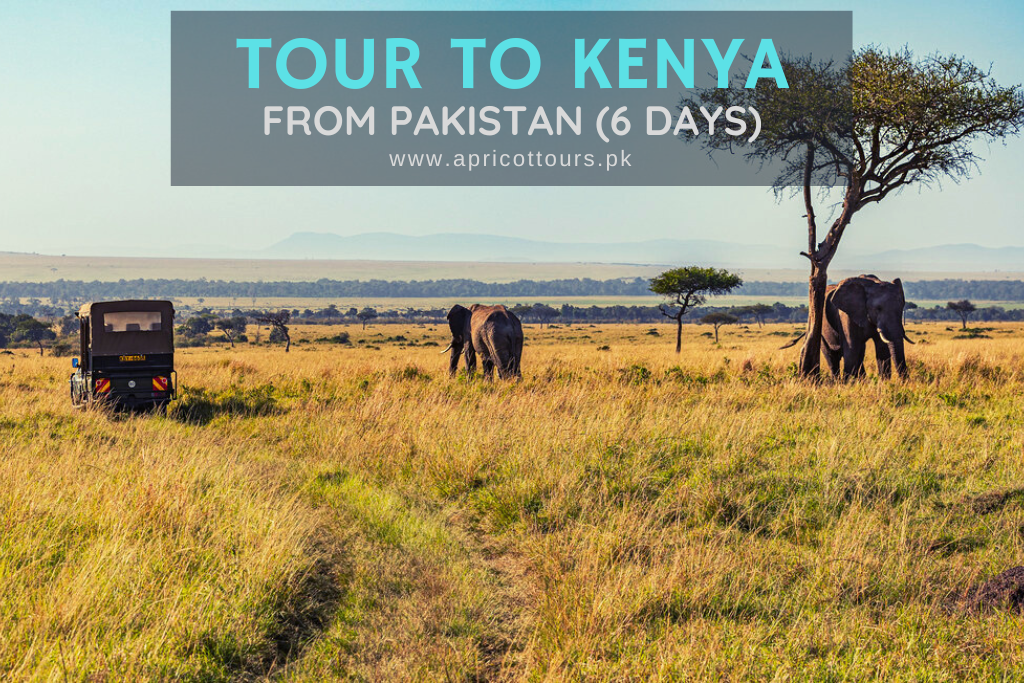 tour to kenya from pakistan
