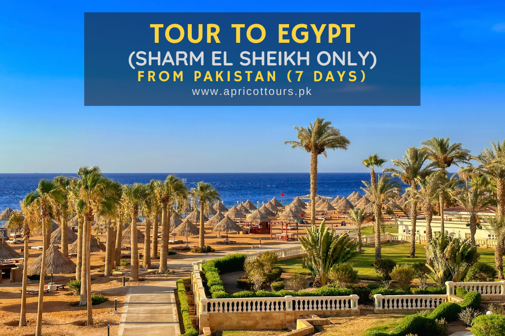 Tour to Egypt (Sharm El Sheikh Only) from Pakistan (7 Days)