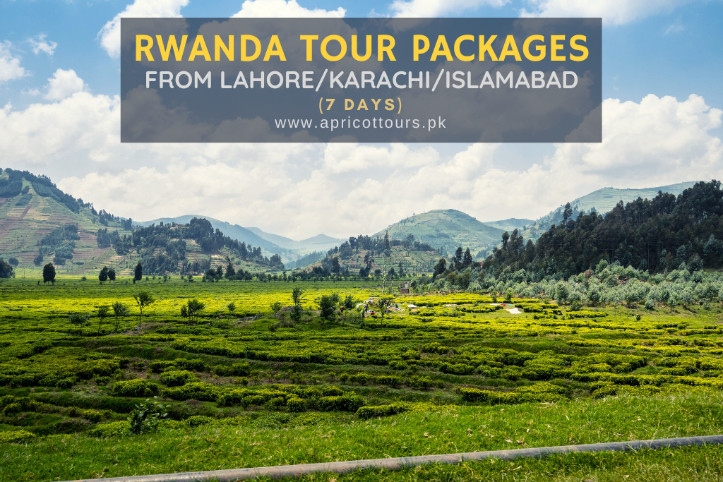 Rwanda Tour Packages from Lahore/Karachi/Islamabad (7 Days)