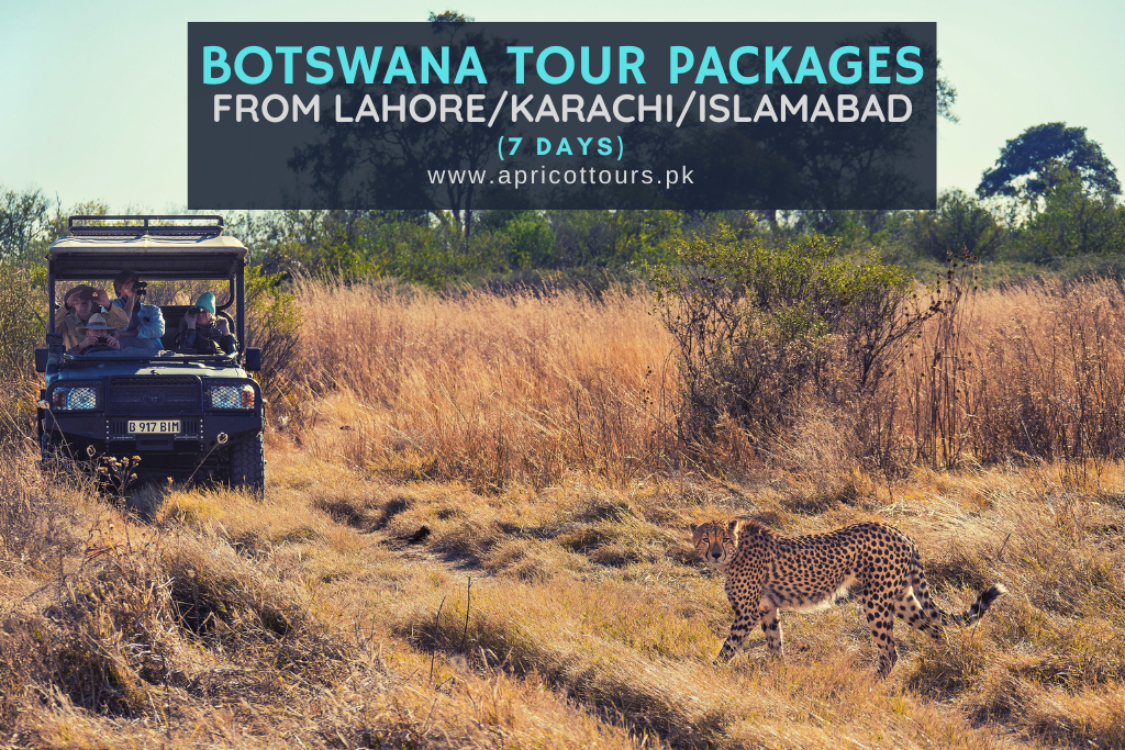 botswana tour packages from lahore/karachi/islamabad