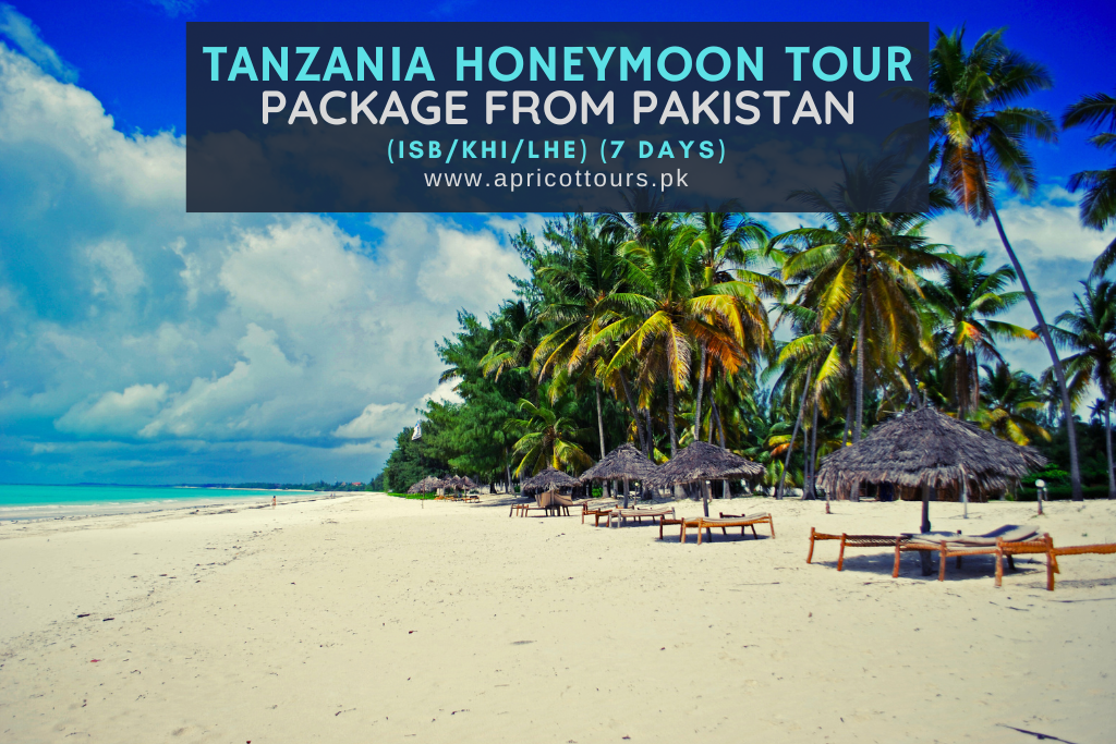 Tanzania Honeymoon Tour Package from Pakistan (ISB/KHI/LHE)