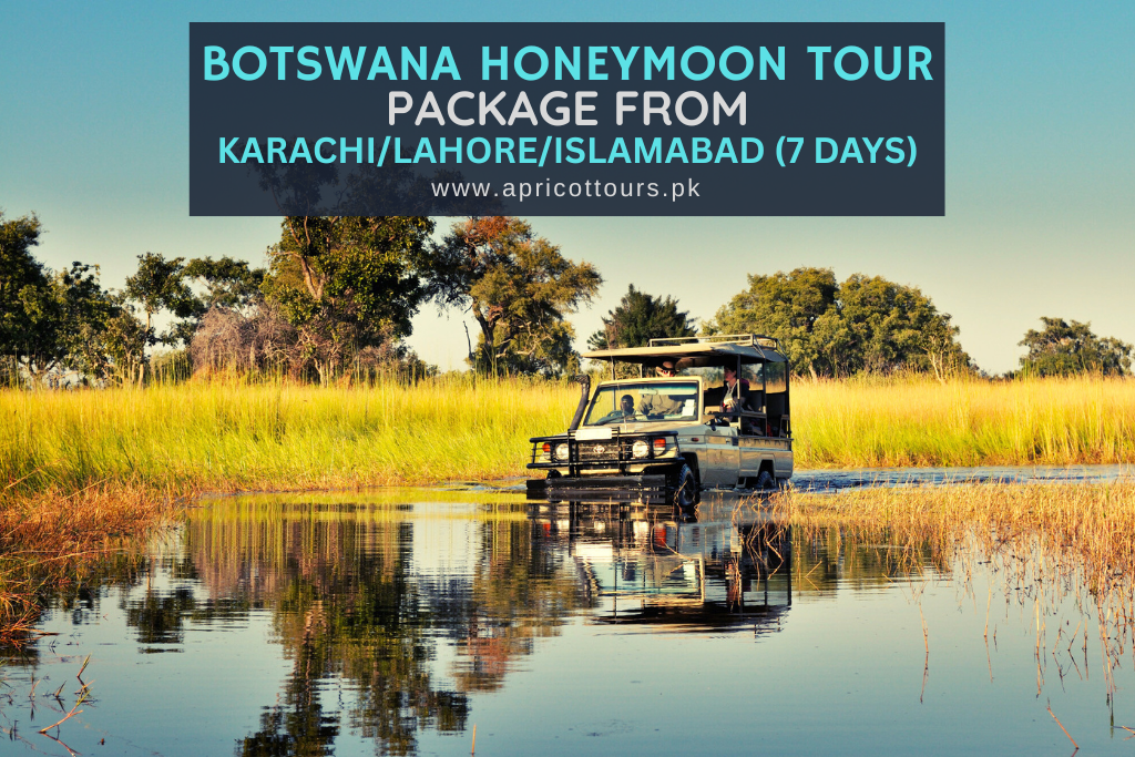 botswana honeymoon tour package from karachi/lahore/islamabad