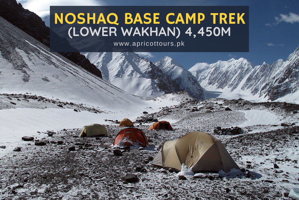 Noshaq Base Camp Trek (Lower Wakhan)