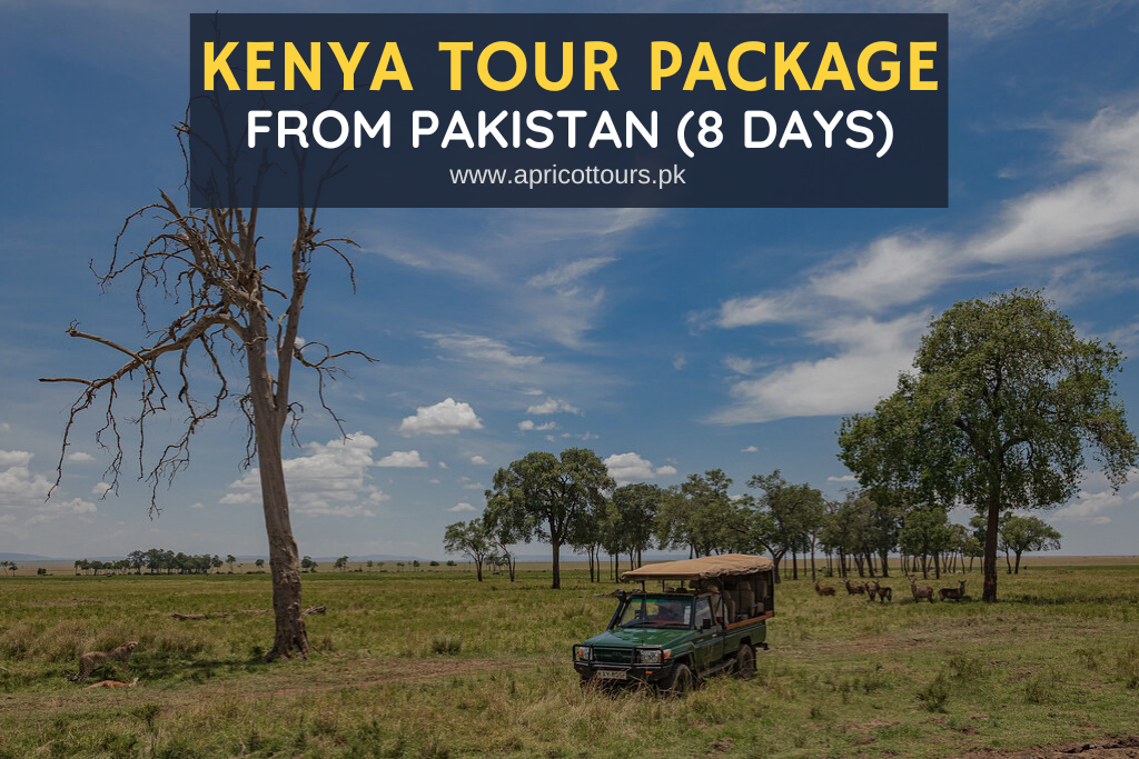 kenya tour package from pakistan