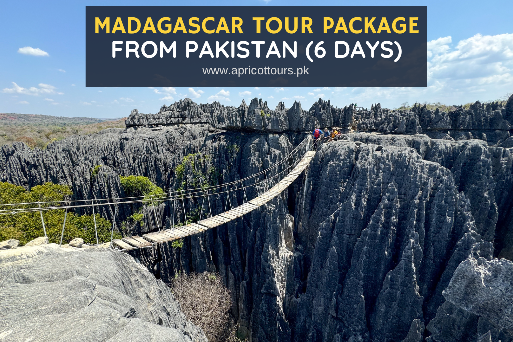 Madagascar Tour Package from Pakistan (6 Days)