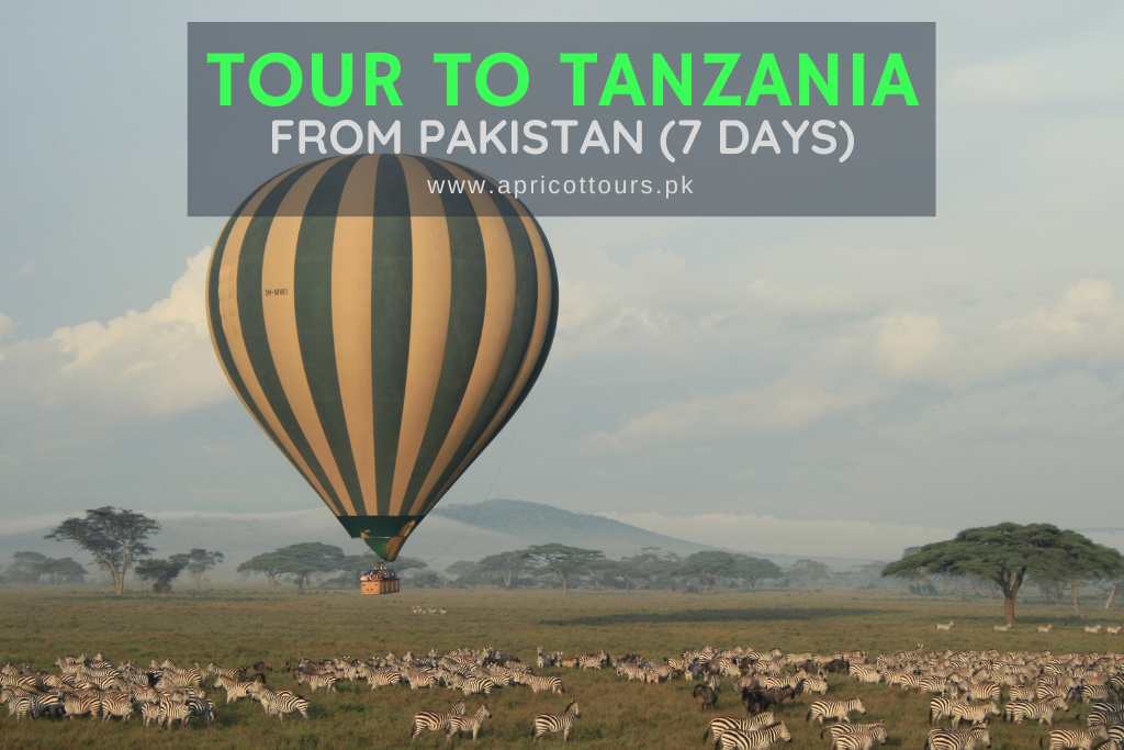 tour to tanzania from pakistan