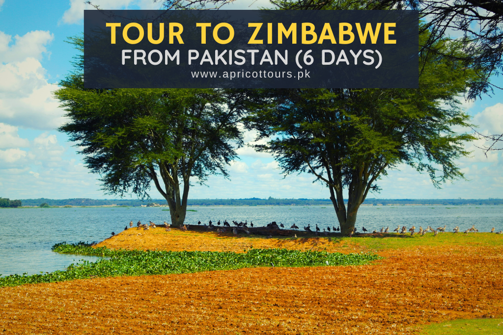 Tour to Zimbabwe from Pakistan (6 Days)