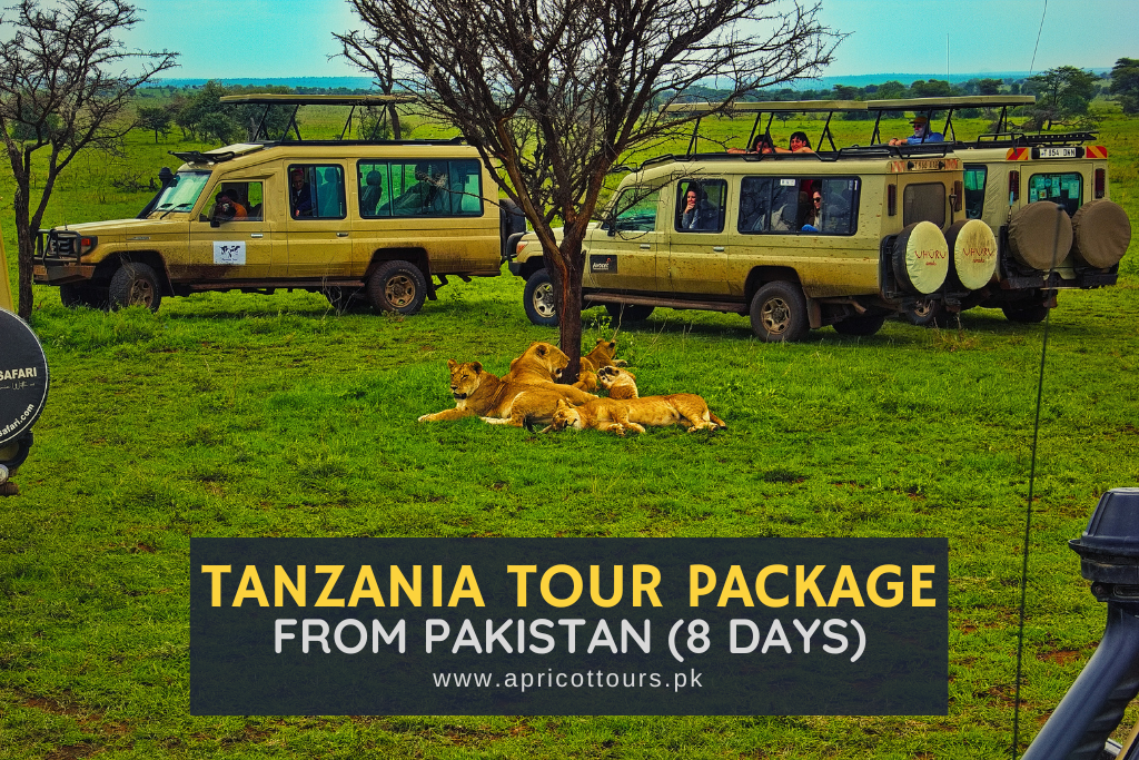 tanzania tour package from pakistan