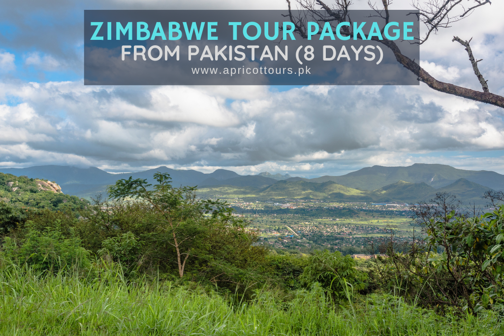 Zimbabwe Tour Package from Pakistan (8 Days)