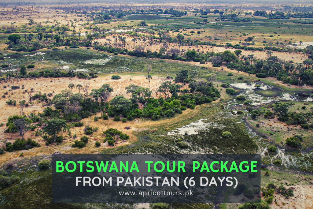 Botswana Tour Package from Pakistan (6 Days)