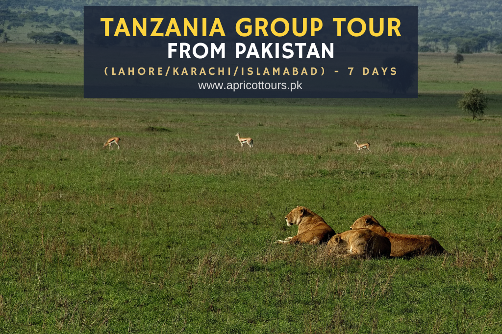 Tanzania Group Tour from Pakistan (Lahore/Karachi/Islamabad) - 7 Days