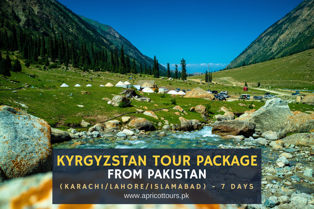 kyrgyzstan tour package from pakistan