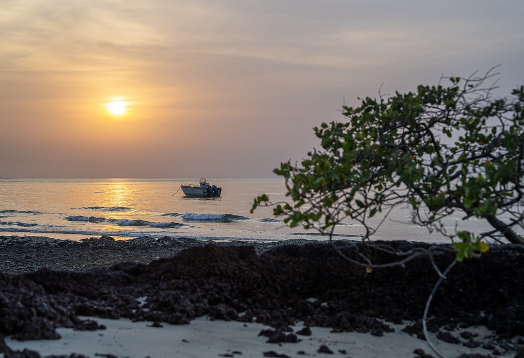 guinea-bissau tour package from pakistan