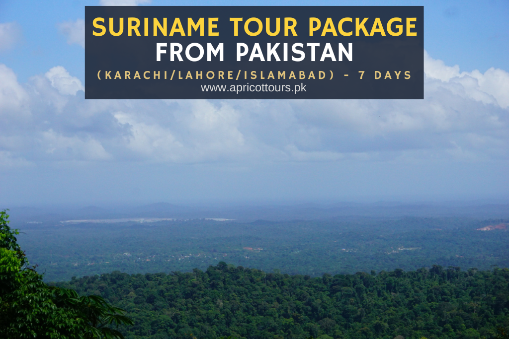 suriname tour package from pakistan