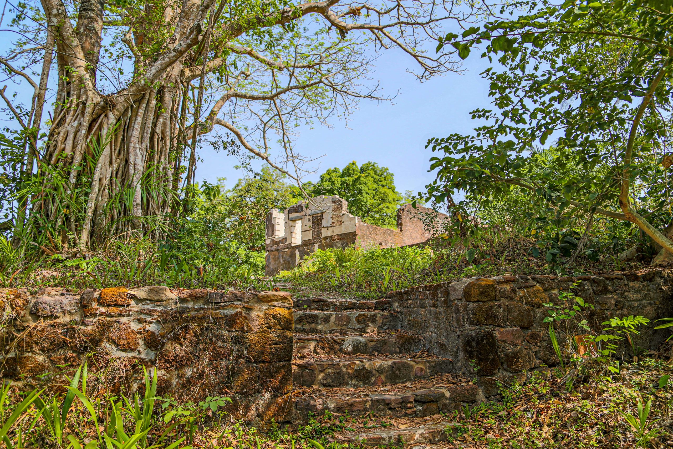 sierra leone tour package from pakistan