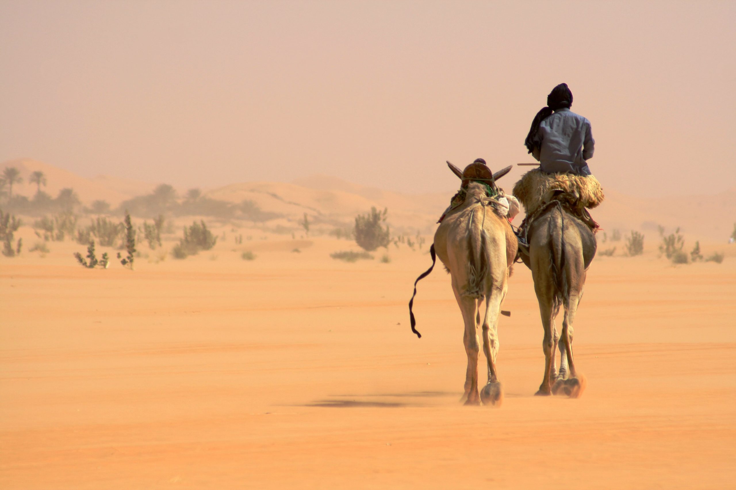 mauritania tour package from pakistan