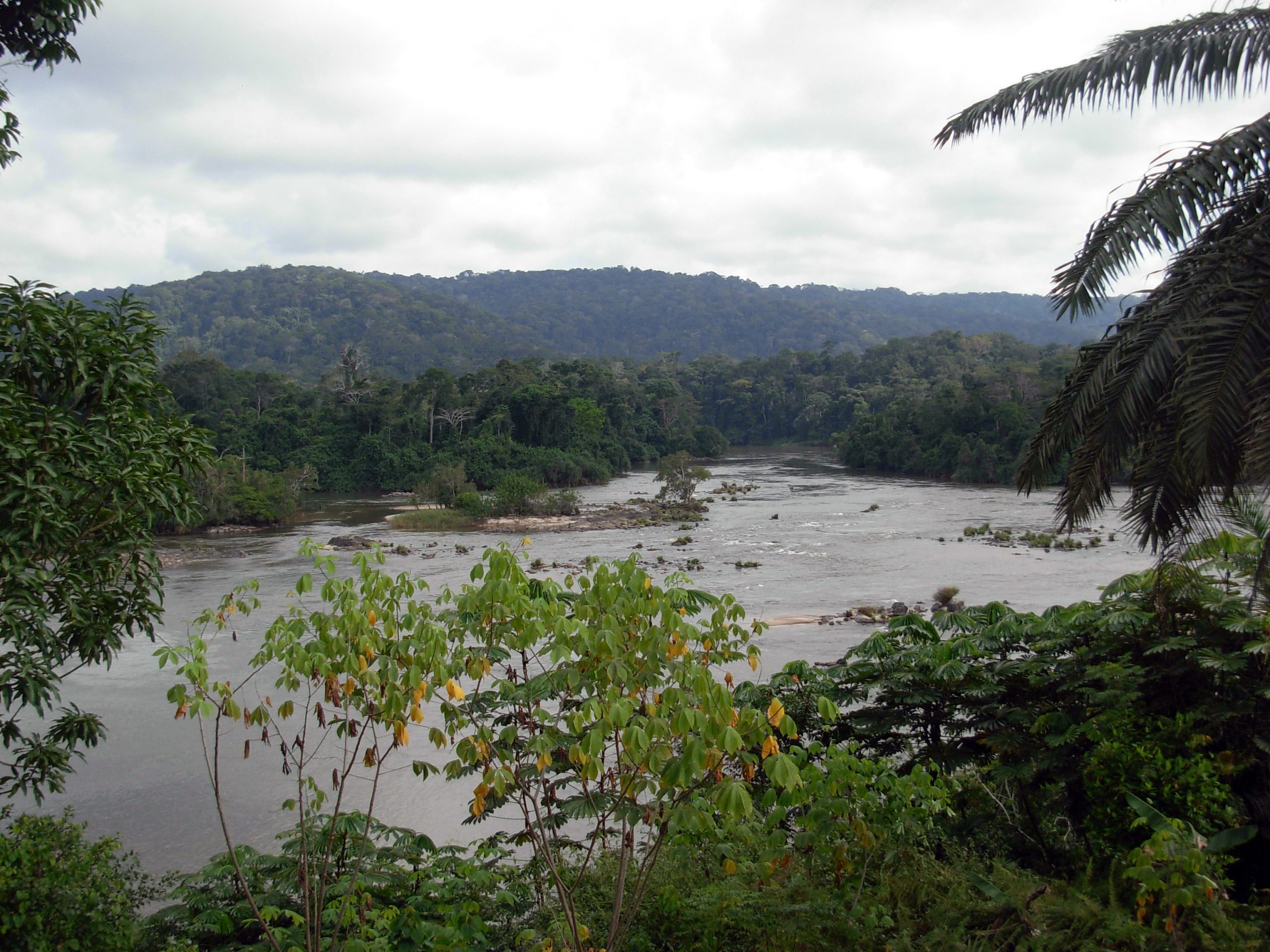 gabon tour package from pakistan