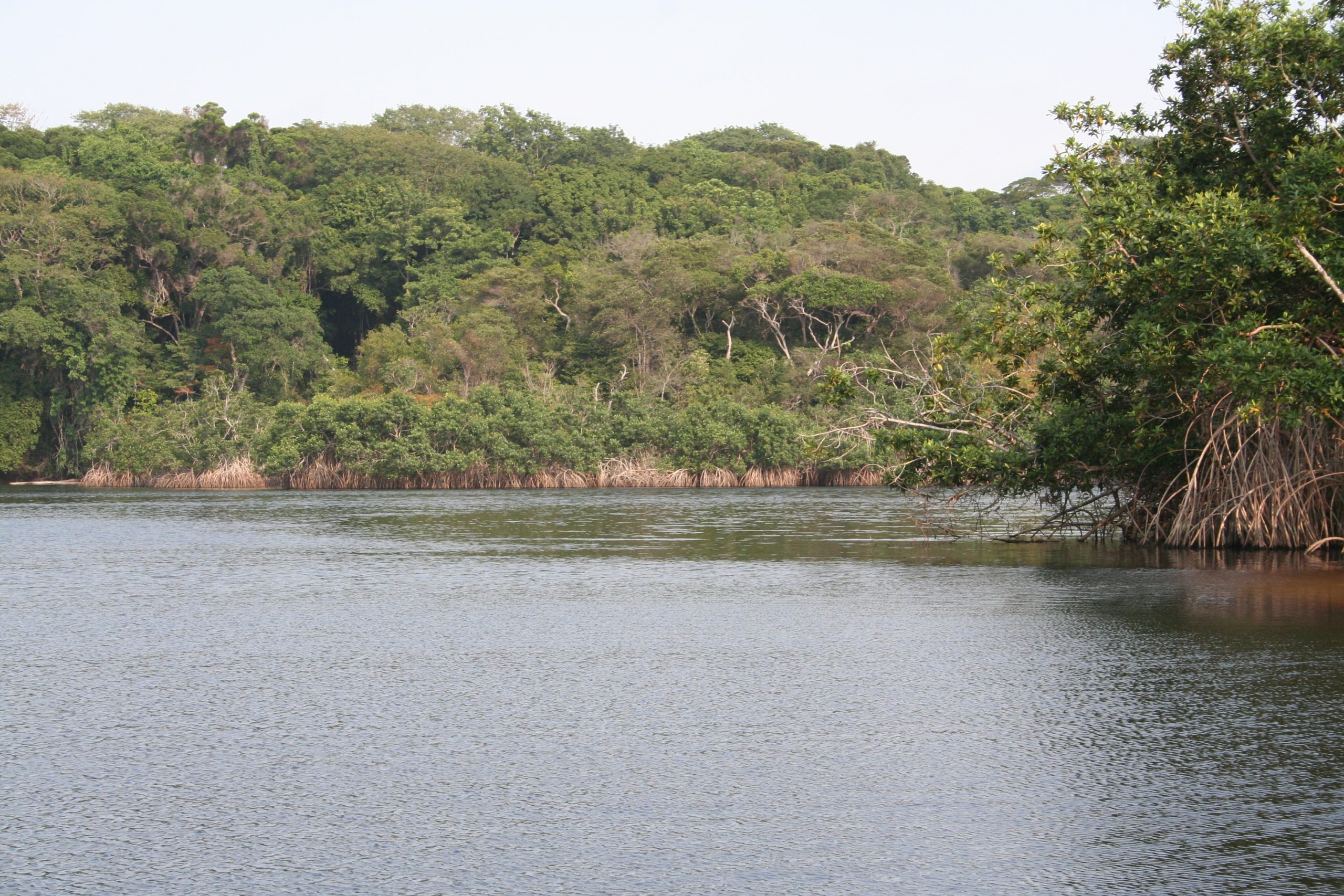 gabon tour package from pakistan