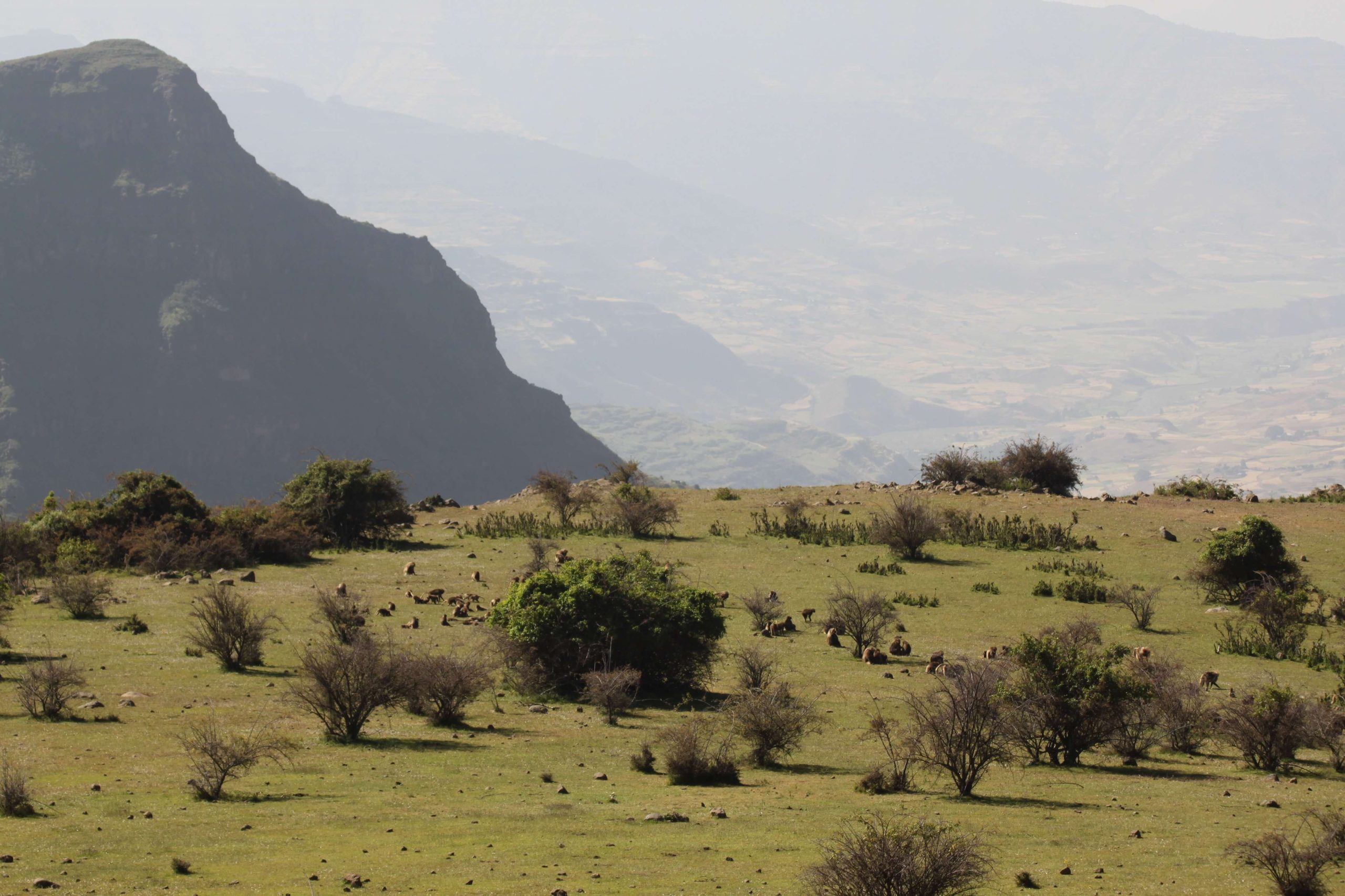 ethiopia tour package from pakistan