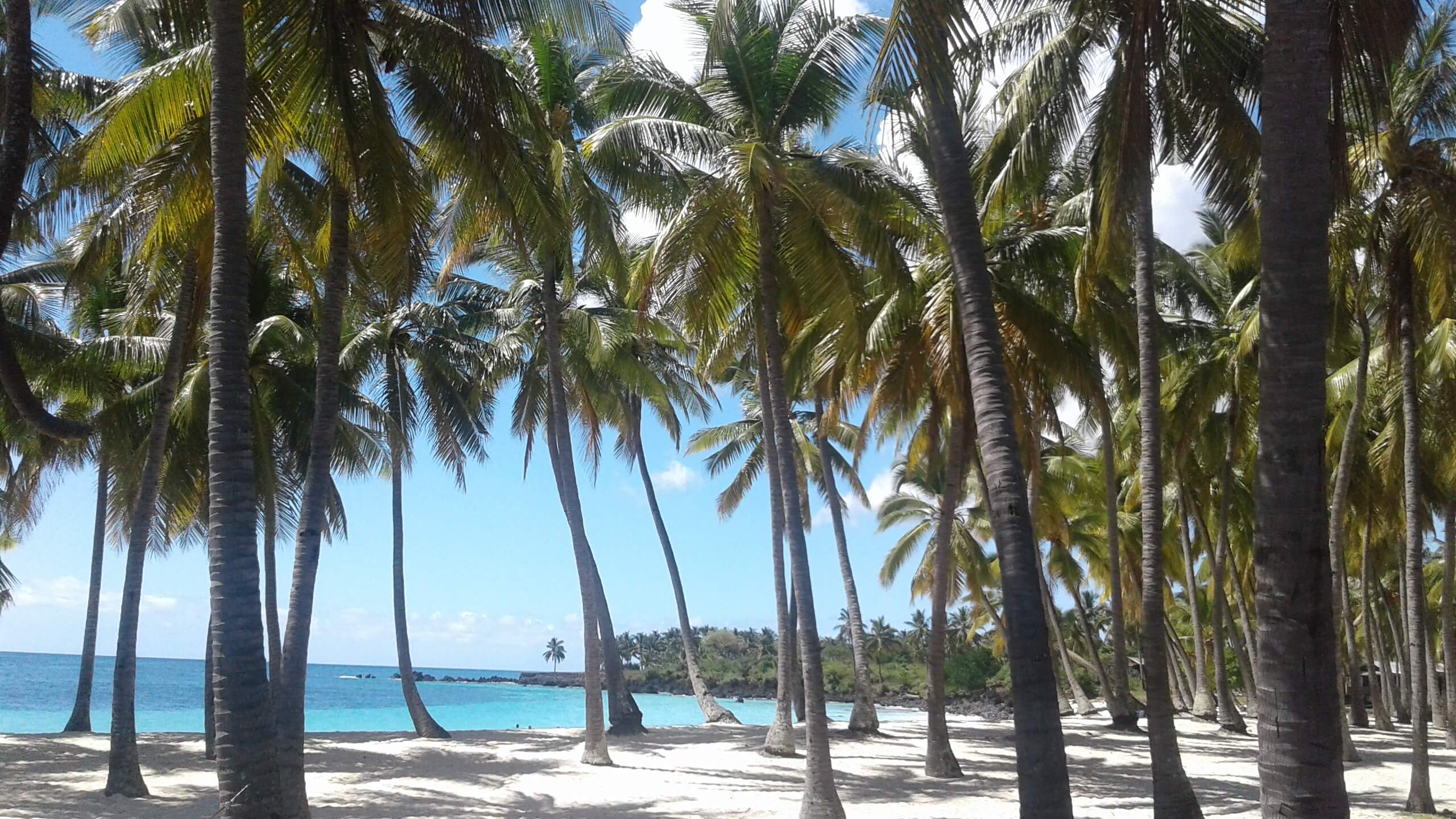 comoros tour package from pakistan