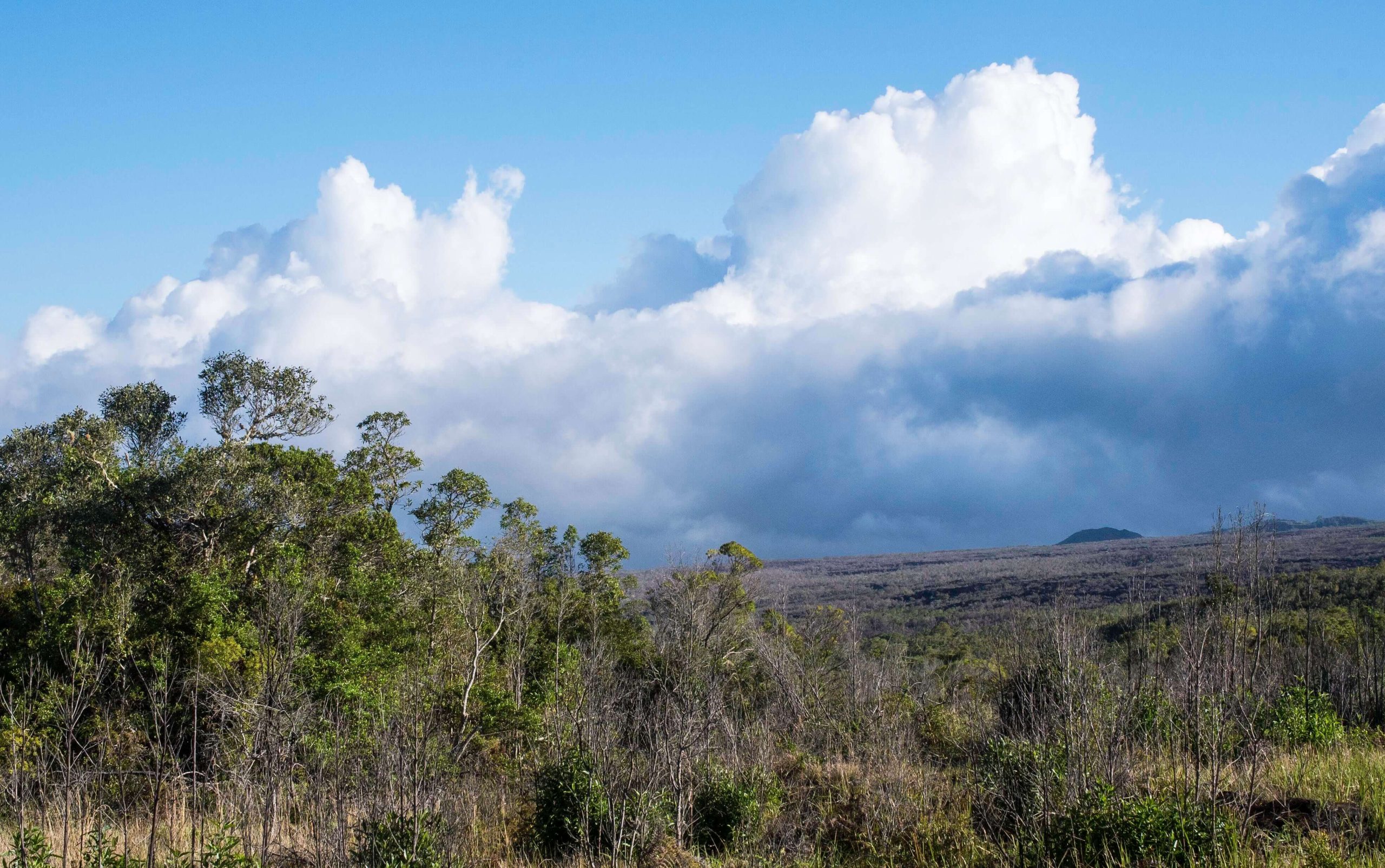 comoros tour package from pakistan