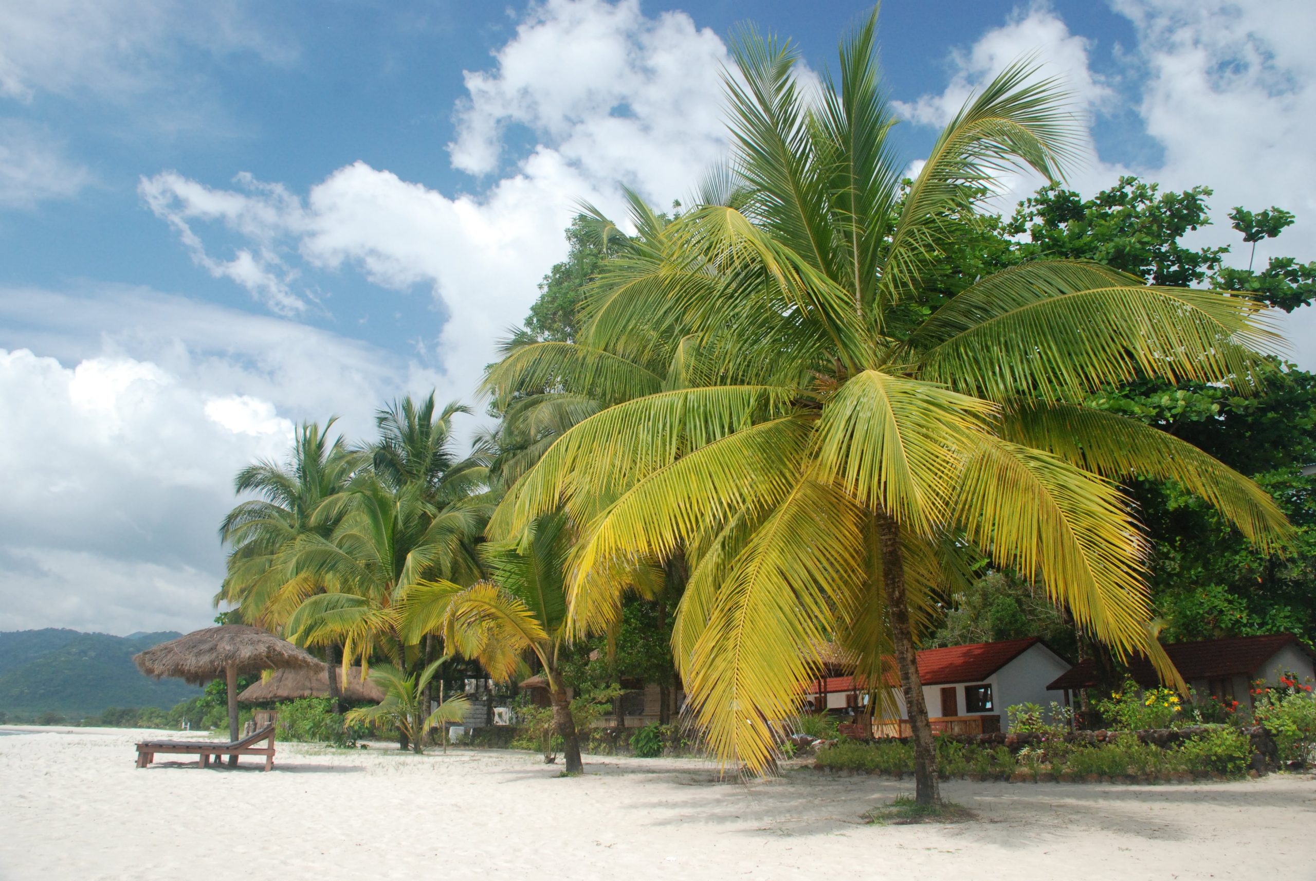 sierra leone tour package from pakistan