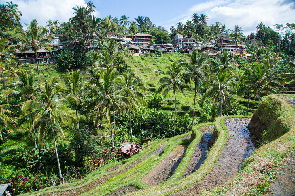 sri lanka maldives singapore & indonesia (bali) tour from pakistan