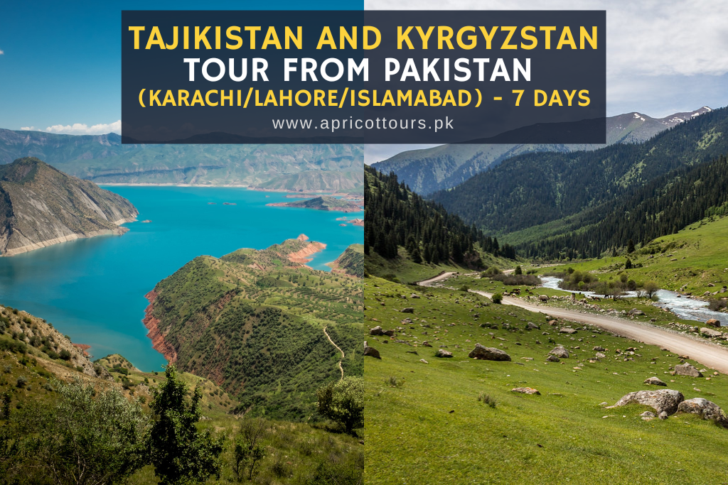tajikistan and kyrgyzstan tour from pakistan