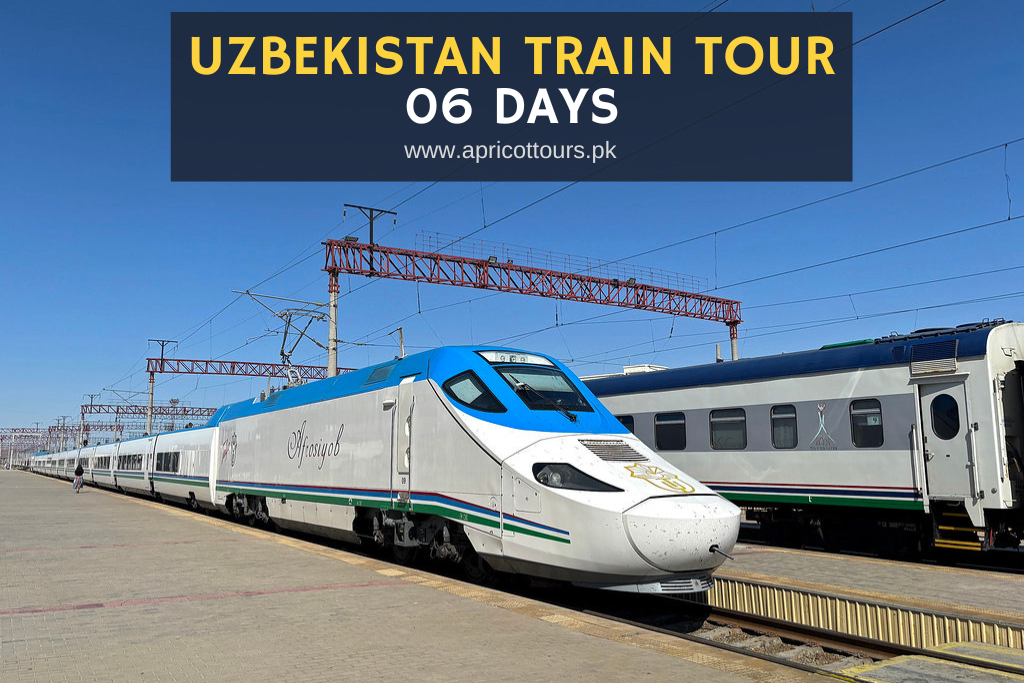 uzbekistan train tour