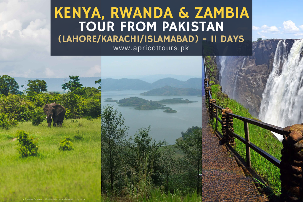 Kenya, Rwanda & Zambia Tour from Pakistan (Lahore/Karachi/Islamabad) - 11 Days