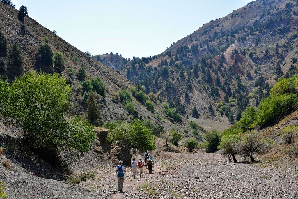 chimgan mountains tour from tashkent
