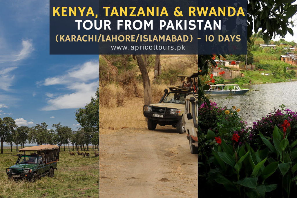 Kenya, Tanzania & Rwanda Tour from Pakistan (Karachi/Lahore/Islamabad) - 10 Days