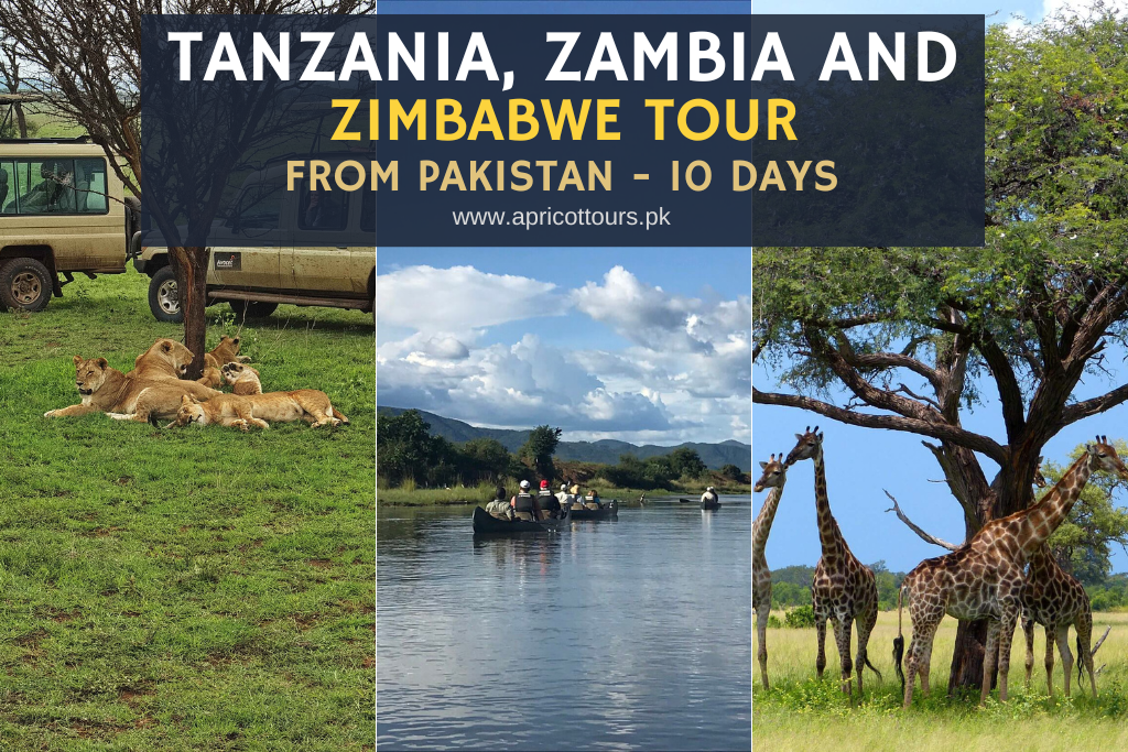 tanzania zambia and zimbabwe tour from pakistan
