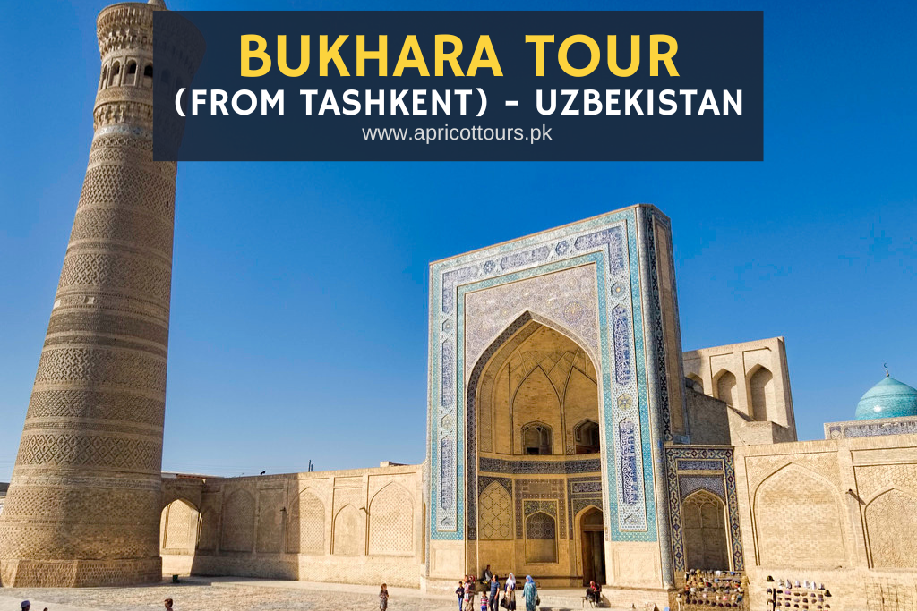 bukhara tour (from tashkent)