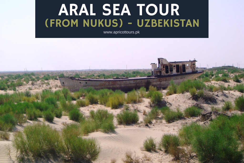 aral sea tour (from nukus)