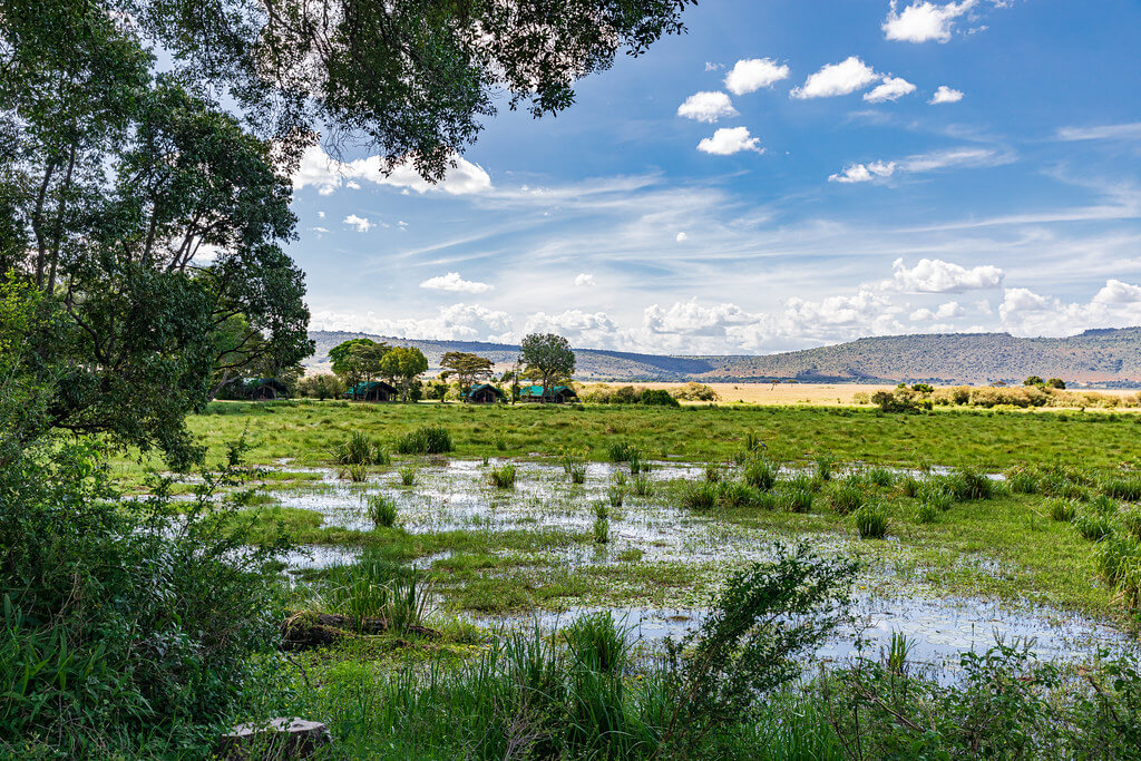 kenya tanzania & rwanda tour from pakistan