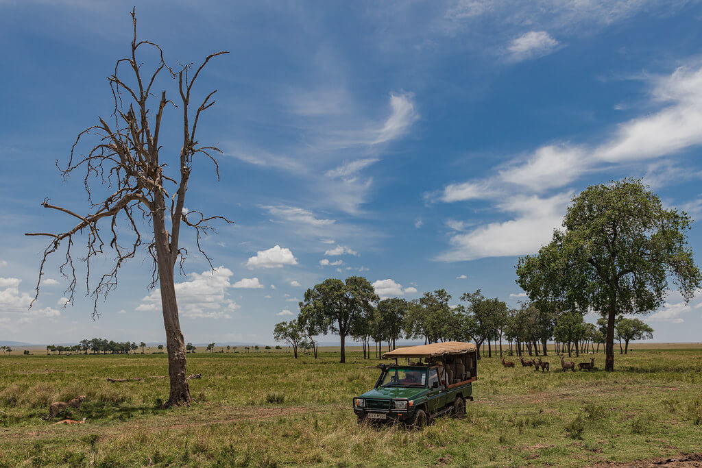 kenya and botswana tour from pakistan