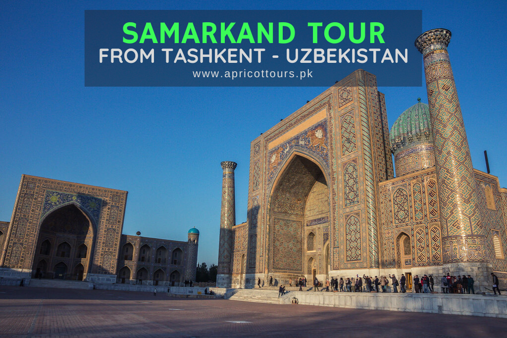 Samarkand Tour from Tashkent - Uzbekistan